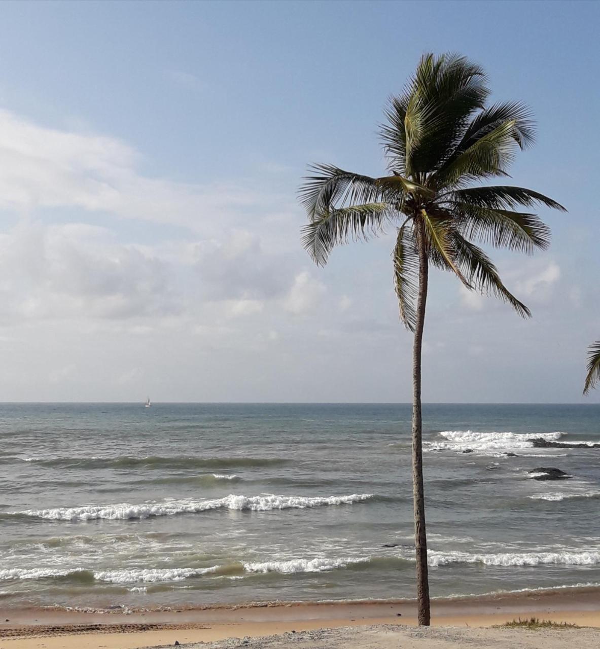 Salvador Surf Hostel Екстер'єр фото